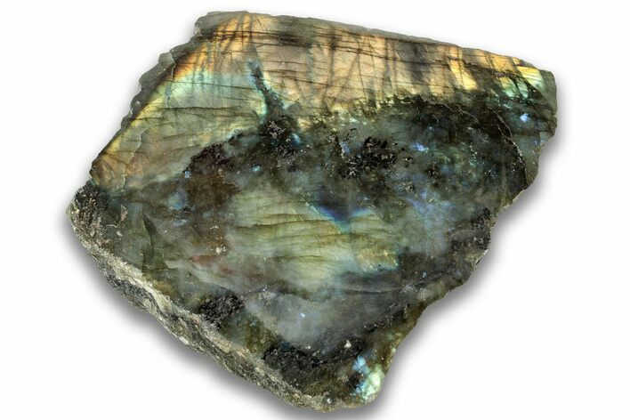 Single Side Polished Labradorite Section - Madagascar #324671